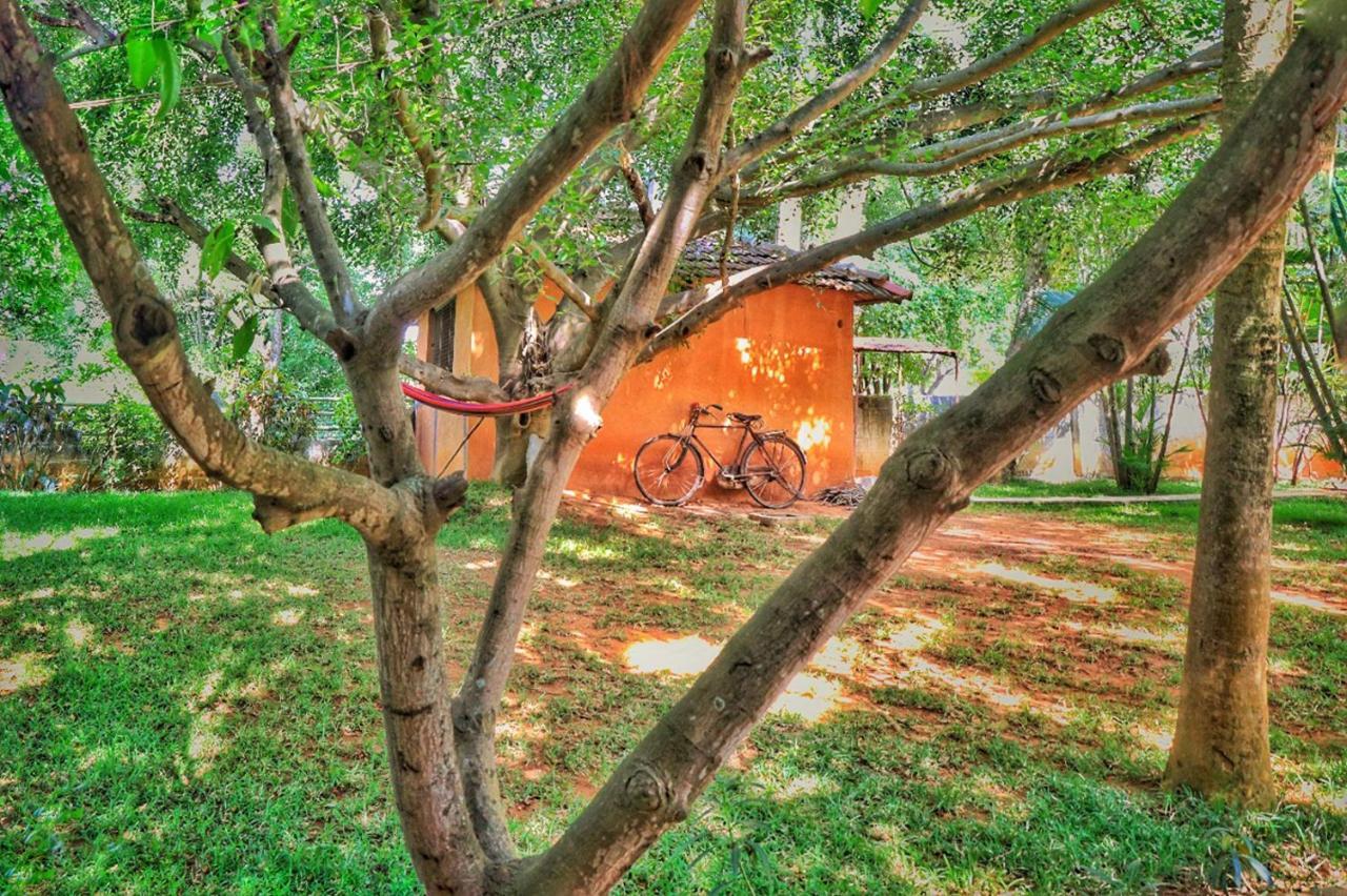 Gold Coins Club & Resort Kammasandra Ngoại thất bức ảnh